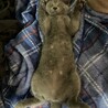 の写真