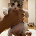 足が不自由ですが気にならないくらい元気！