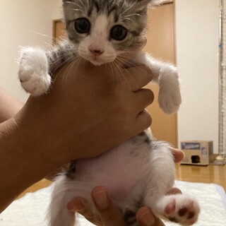 足が不自由ですが気にならないくらい元気！