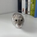 ブルーサファイアのハムちゃん
