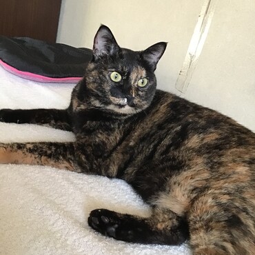 ミグちゃん、サイコー