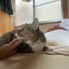 好きになったら一途！ｶﾗ  サムネイル3