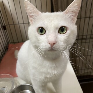 里親さん決まりました