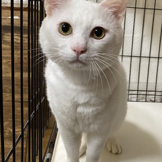 遊ぶの大好き！奏多くん