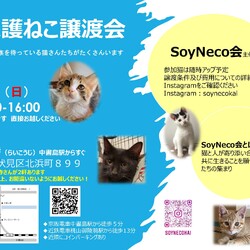 SoyNeco保護猫譲渡会