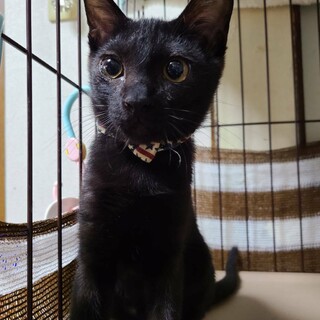 ビビりの大ちゃん★