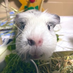 「海の日に迎えたマーブルくんの話」サムネイル2