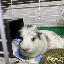 「海の日に迎えたマーブルくんの話」サムネイル3