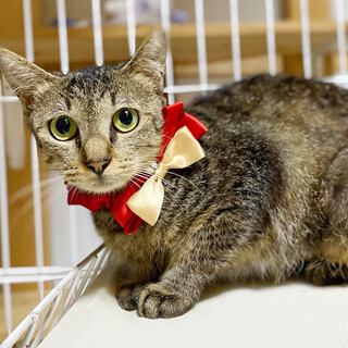 面倒見がよくて優しい『姫ちゃん』１歳