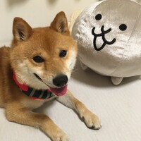 むさし