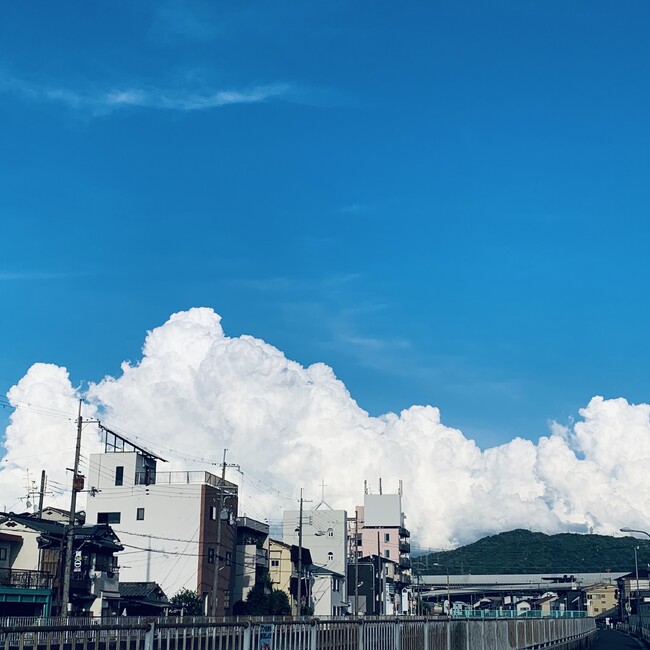 わつもりのカバー写真