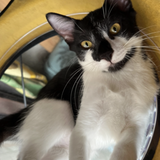 遊ぶの大好き☆かっこいい出久（いずく）くん