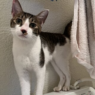 人が大好き♡おしゃべりムトウくん♫