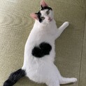 人懐こい女の子♡黒い羽のはねちゃん