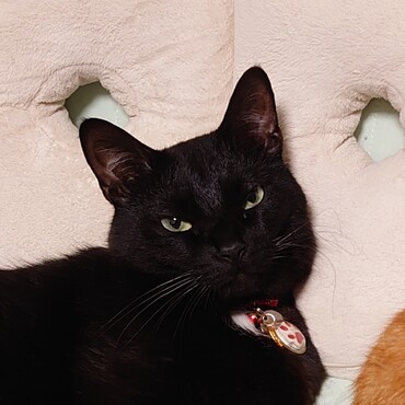 2022/08/13 くろずさん