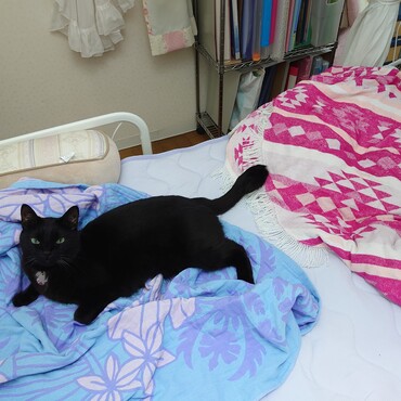 おニューのガーゼケット、くろずさんのお気に入りになってしまい使えません（笑）