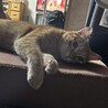 横向いたら居た　かわいい