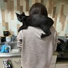 なツきさん
