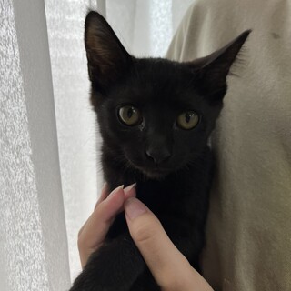 ダース　生後3ヶ月