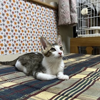あそぶの大好き！食べるの大好き！ジャンジャンです