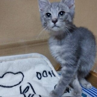 スリスリ可愛いルルちゃん