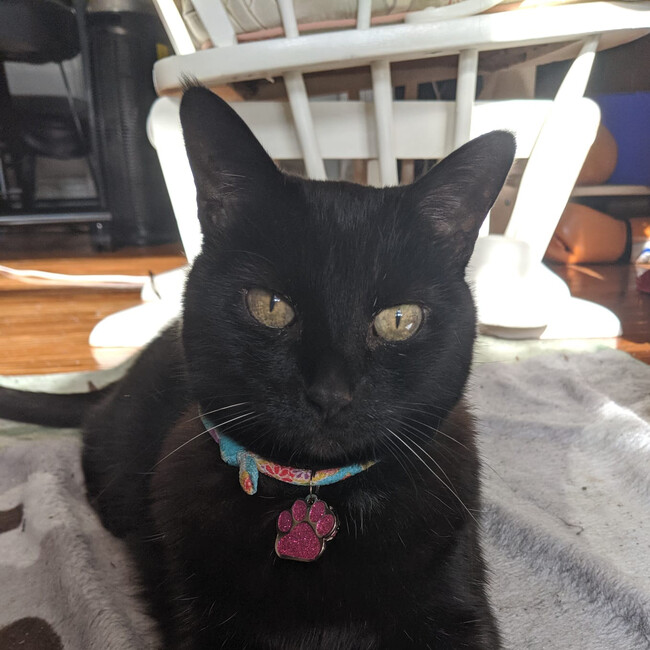 二ザマのカバー写真