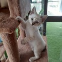 兄妹で素敵な家族が見つかりました☆弦くん