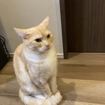 お風呂の見張り番