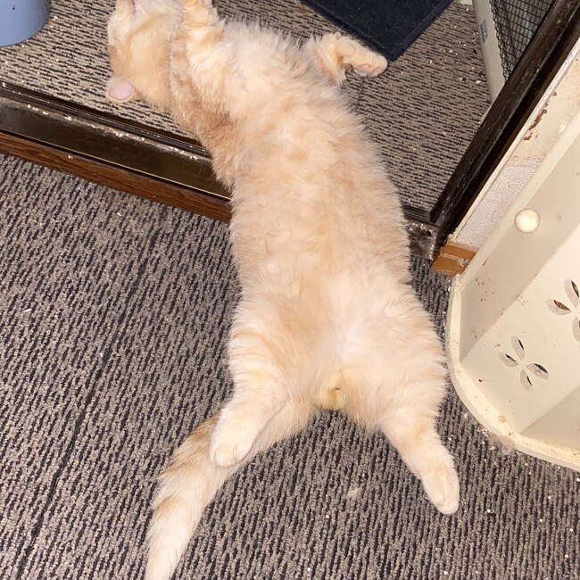 naoki123のカバー写真