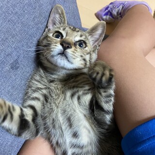 人懐っこすぎるデクくん