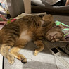 たかのりくん