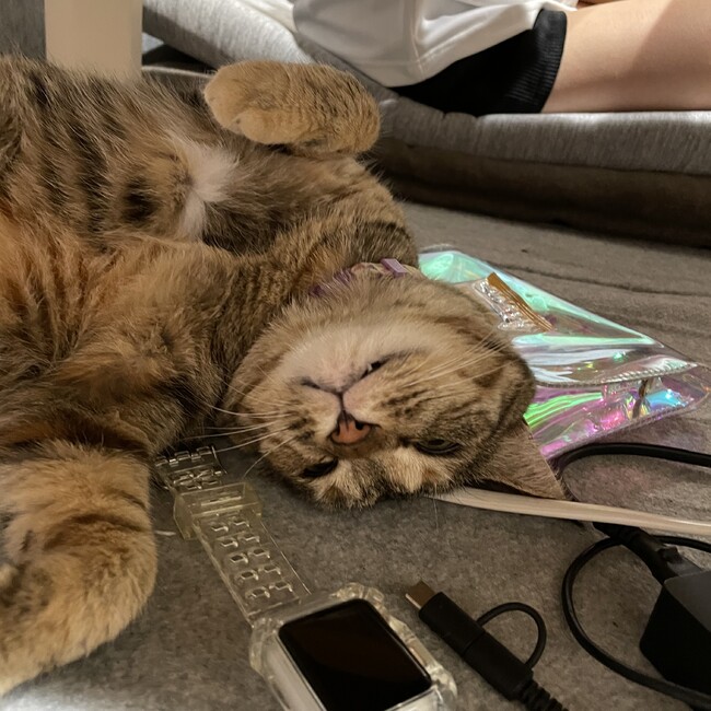たかのりくんのカバー写真