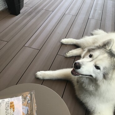 の写真