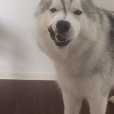 の写真