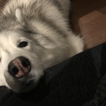 の写真