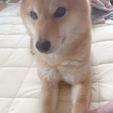 の写真