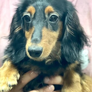 22-M530 美形！！最高に良い子♪