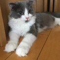 お迎え待ってます