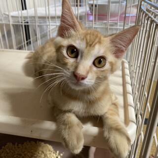 やんちゃで可愛い　そら❗️