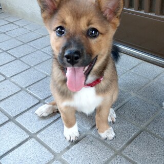 幸せなご縁に恵まれました。ありがとうございました。