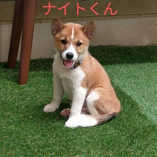 幸せなご縁に恵まれました。ありがとうございました。