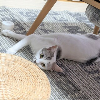 子ども想いの優しいお母さん！