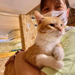 おっとりセブン君のシニア世代パートナーを募集中！