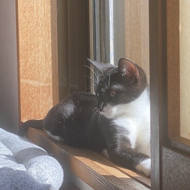 の写真