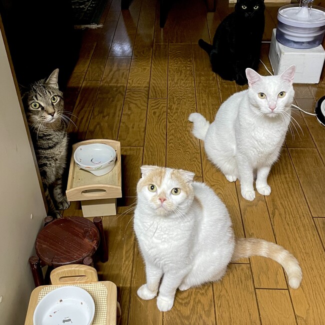 natsumingのカバー写真