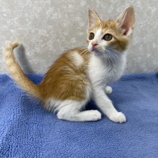 小太郎は体調不良の為21日は参加しません❗️