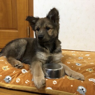 一時停止します。フレンドリー✴︎家族募集中