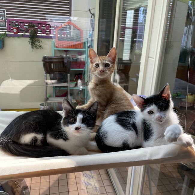 morotaka幼稚園　担当: NASUのカバー写真