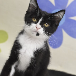 エイチロくん！