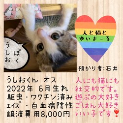 合同　保護ねこ譲渡会